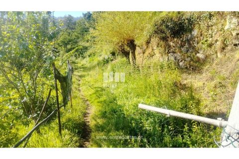 Terra a Cinfaes, Viseu, Cinfaes - € 27.000 | Ref: MC09181 - foto 31