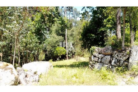 Helårsgrund i Cinfaes, Viseu, Cinfaes - € 16.000 | Ref: MC09182 - foto 1