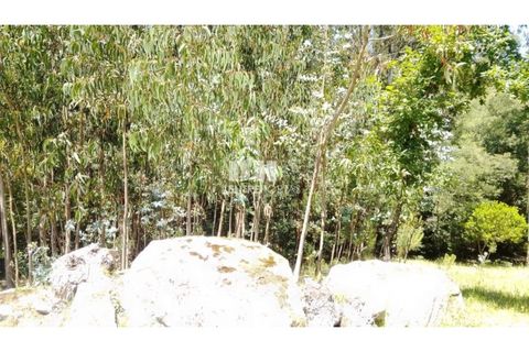 Helårsgrund i Cinfaes, Viseu, Cinfaes - € 16.000 | Ref: MC09182 - foto 3