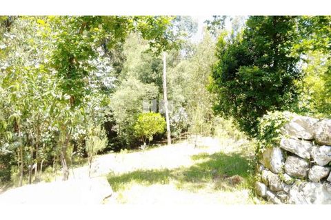 Helårsgrund i Cinfaes, Viseu, Cinfaes - € 16.000 | Ref: MC09182 - foto 6