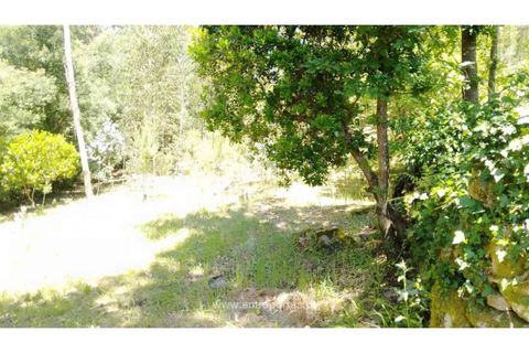 Helårsgrund i Cinfaes, Viseu, Cinfaes - € 16.000 | Ref: MC09182 - foto 8