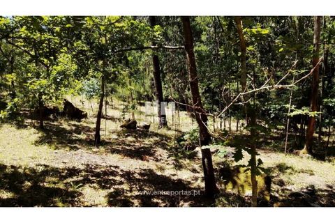 Helårsgrund i Cinfaes, Viseu, Cinfaes - € 16.000 | Ref: MC09182 - foto 16