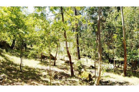 Helårsgrund i Cinfaes, Viseu, Cinfaes - € 16.000 | Ref: MC09182 - foto 17