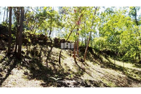 Helårsgrund i Cinfaes, Viseu, Cinfaes - € 16.000 | Ref: MC09182 - foto 19