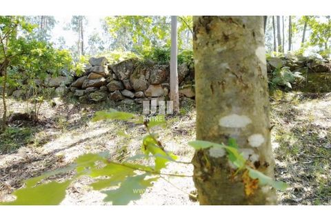 Helårsgrund i Cinfaes, Viseu, Cinfaes - € 16.000 | Ref: MC09182 - foto 20