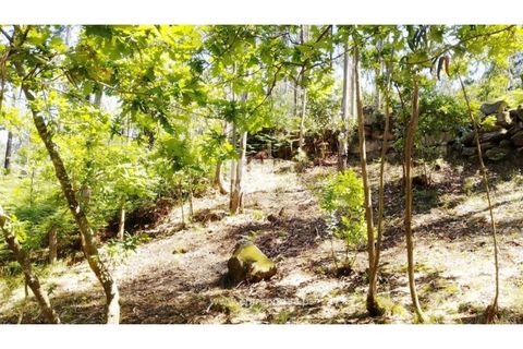 Helårsgrund i Cinfaes, Viseu, Cinfaes - € 16.000 | Ref: MC09182 - foto 21