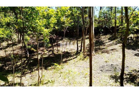 Helårsgrund i Cinfaes, Viseu, Cinfaes - € 16.000 | Ref: MC09182 - foto 23