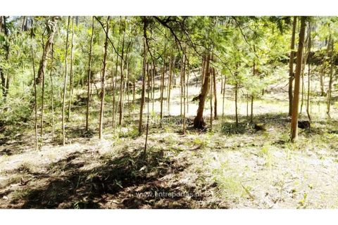 Helårsgrund i Cinfaes, Viseu, Cinfaes - € 16.000 | Ref: MC09182 - foto 24