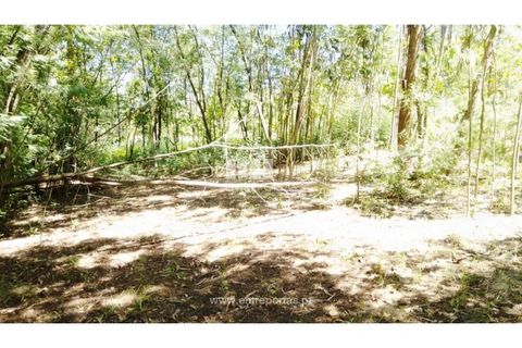 Helårsgrund i Cinfaes, Viseu, Cinfaes - € 16.000 | Ref: MC09182 - foto 26