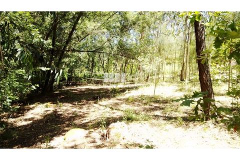 Helårsgrund i Cinfaes, Viseu, Cinfaes - € 16.000 | Ref: MC09182 - foto 28