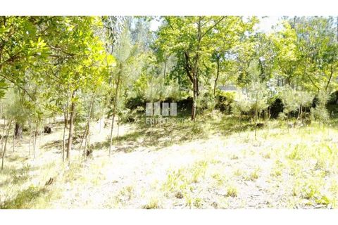 Helårsgrund i Cinfaes, Viseu, Cinfaes - € 16.000 | Ref: MC09182 - foto 29