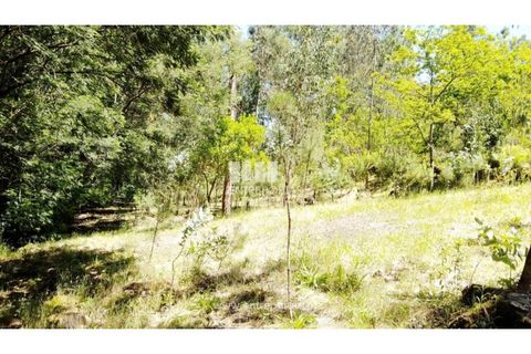 Helårsgrund i Cinfaes, Viseu, Cinfaes - € 16.000 | Ref: MC09182 - foto 30