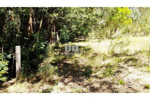 Helårsgrund i Cinfaes, Viseu, Cinfaes - € 16.000 | Ref: MC09182 - foto 31