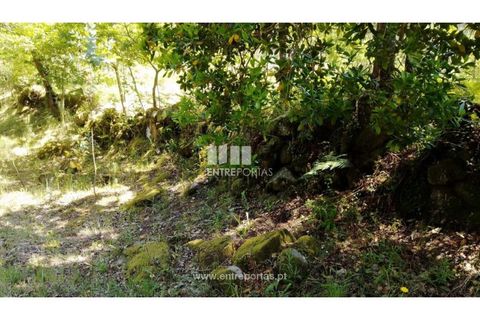 Helårsgrund i Cinfaes, Viseu, Cinfaes - € 16.000 | Ref: MC09182 - foto 32
