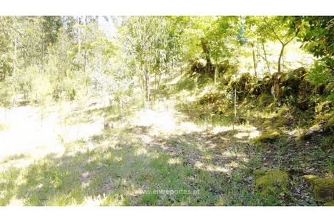 Helårsgrund i Cinfaes, Viseu, Cinfaes - € 16.000 | Ref: MC09182 - foto 33