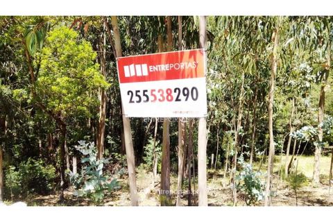 Helårsgrund i Cinfaes, Viseu, Cinfaes - € 16.000 | Ref: MC09182 - foto 35