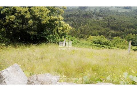 Terra a Cinfaes, Viseu, Cinfaes - € 35.000 | Ref: MC09216 - foto 2