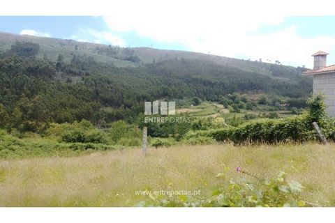 Terra a Cinfaes, Viseu, Cinfaes - € 35.000 | Ref: MC09216 - foto 3