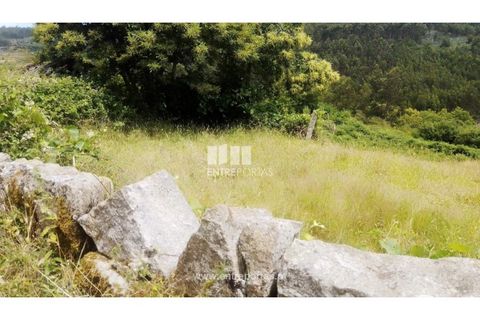 Terra a Cinfaes, Viseu, Cinfaes - € 35.000 | Ref: MC09216 - foto 5
