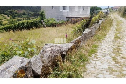 Terra a Cinfaes, Viseu, Cinfaes - € 35.000 | Ref: MC09216 - foto 6