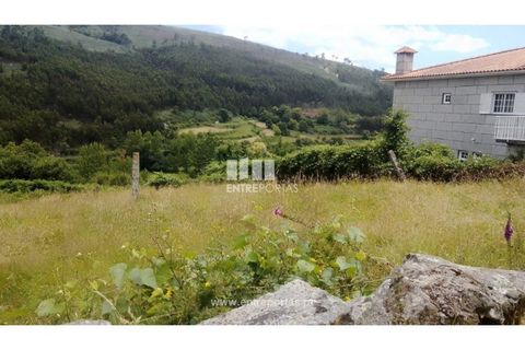 Terra a Cinfaes, Viseu, Cinfaes - € 35.000 | Ref: MC09216 - foto 7