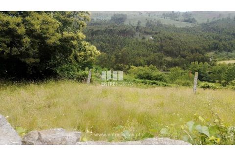 Terra a Cinfaes, Viseu, Cinfaes - € 35.000 | Ref: MC09216 - foto 8