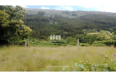 Terra a Cinfaes, Viseu, Cinfaes - € 35.000 | Ref: MC09216 - foto 9