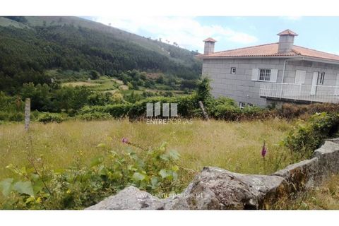Terra a Cinfaes, Viseu, Cinfaes - € 35.000 | Ref: MC09216 - foto 10