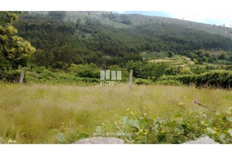 Terra a Cinfaes, Viseu, Cinfaes - € 35.000 | Ref: MC09216 - foto 11