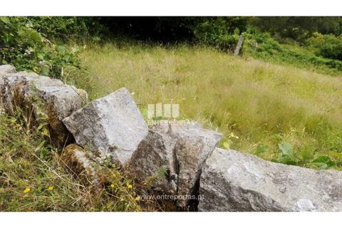 Terra a Cinfaes, Viseu, Cinfaes - € 35.000 | Ref: MC09216 - foto 12