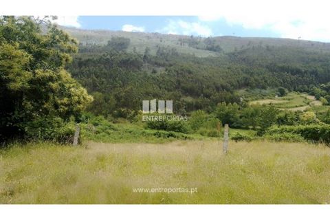 Terra a Cinfaes, Viseu, Cinfaes - € 35.000 | Ref: MC09216 - foto 13