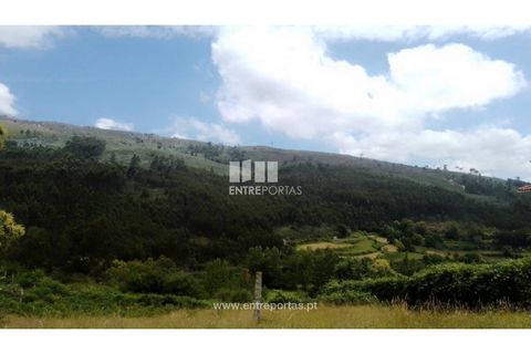 Terra a Cinfaes, Viseu, Cinfaes - € 35.000 | Ref: MC09216 - foto 14