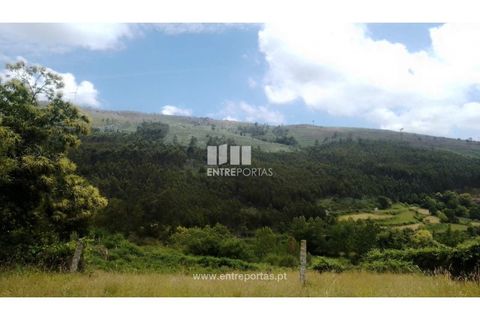 Terra a Cinfaes, Viseu, Cinfaes - € 35.000 | Ref: MC09216 - foto 15
