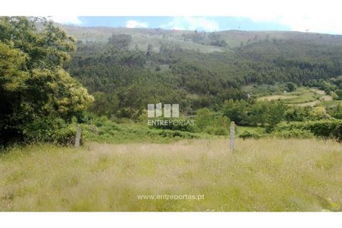 Terra a Cinfaes, Viseu, Cinfaes - € 35.000 | Ref: MC09216 - foto 16