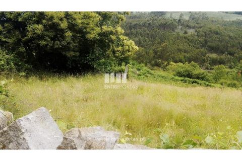 Terra a Cinfaes, Viseu, Cinfaes - € 35.000 | Ref: MC09216 - foto 17