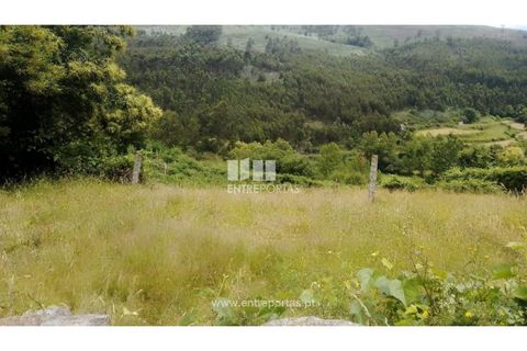 Terra a Cinfaes, Viseu, Cinfaes - € 35.000 | Ref: MC09216 - foto 18