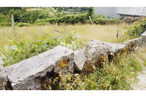 Terra a Cinfaes, Viseu, Cinfaes - € 35.000 | Ref: MC09216 - foto 19