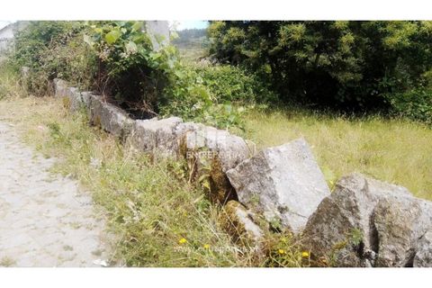 Terra a Cinfaes, Viseu, Cinfaes - € 35.000 | Ref: MC09216 - foto 20