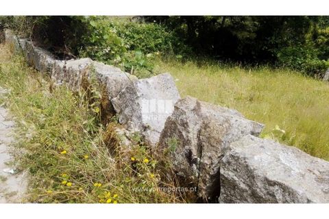 Terra a Cinfaes, Viseu, Cinfaes - € 35.000 | Ref: MC09216 - foto 21