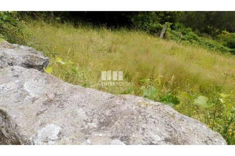 Terra a Cinfaes, Viseu, Cinfaes - € 35.000 | Ref: MC09216 - foto 22