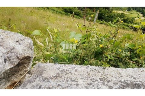 Terra a Cinfaes, Viseu, Cinfaes - € 35.000 | Ref: MC09216 - foto 25