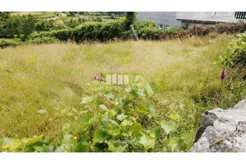 Terra a Cinfaes, Viseu, Cinfaes - € 35.000 | Ref: MC09216 - foto 26
