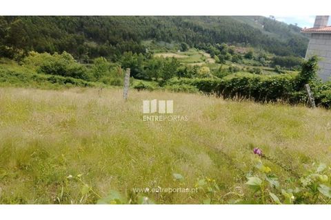 Terra a Cinfaes, Viseu, Cinfaes - € 35.000 | Ref: MC09216 - foto 27