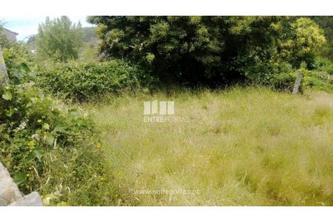 Terra a Cinfaes, Viseu, Cinfaes - € 35.000 | Ref: MC09216 - foto 28