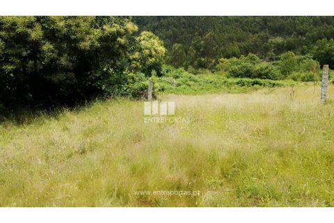 Terra a Cinfaes, Viseu, Cinfaes - € 35.000 | Ref: MC09216 - foto 29