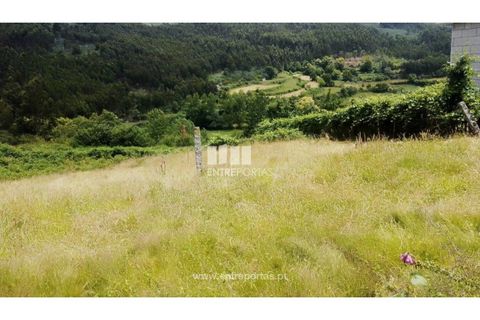 Terra a Cinfaes, Viseu, Cinfaes - € 35.000 | Ref: MC09216 - foto 30