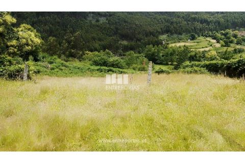 Terra a Cinfaes, Viseu, Cinfaes - € 35.000 | Ref: MC09216 - foto 31