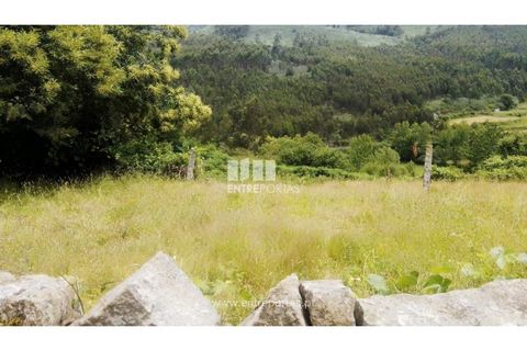 Terra a Cinfaes, Viseu, Cinfaes - € 35.000 | Ref: MC09216 - foto 33