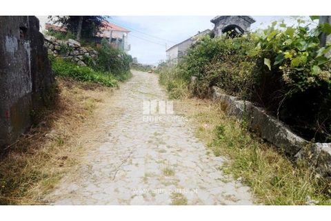 Terra a Cinfaes, Viseu, Cinfaes - € 35.000 | Ref: MC09216 - foto 34