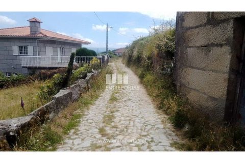 Terra a Cinfaes, Viseu, Cinfaes - € 35.000 | Ref: MC09216 - foto 35
